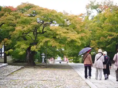 真正極楽寺（真如堂）のその他建物