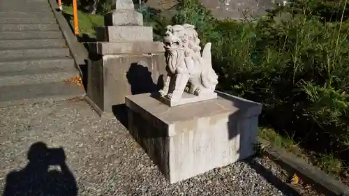 住吉神社の狛犬