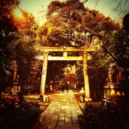 赤坂氷川神社の鳥居