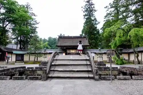 多賀大社の本殿