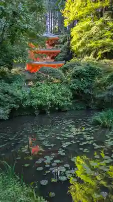 岩船寺(京都府)