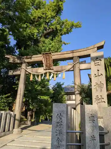 白山神社の鳥居