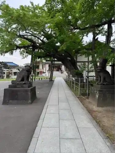 豊受神社(千葉県)