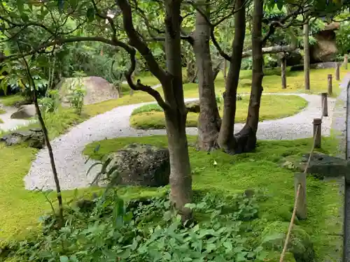 報国寺の庭園