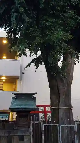 天王坊稲荷神社の末社・摂社