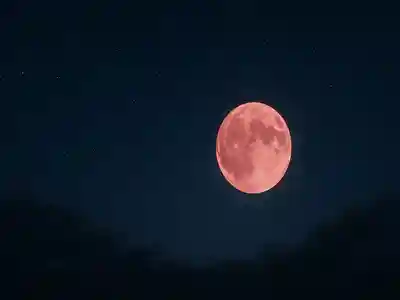 木舟山　順教寺(広島県)