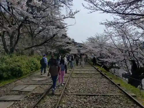 南禅寺の{uncategorized: "未分類", other: "その他", undefined: "問題あり", building: "その他建物", grave: "お墓", sacred_gate: "鳥居", guardian: "狛犬", statue: "像", buddha: "仏像", history: "歴史", nature: "自然", garden: "庭園", animal: "動物", pagoda: "塔", temizu: "手水舎", mountain_gate: "山門・神門", sanctuary: "本殿・本堂", subordinate: "末社・摂社", art: "芸術", scenery: "景色", jizo: "地蔵", ema: "絵馬", goshuin: "御朱印", omikuji: "おみくじ", items: "授与品その他", amulet: "お守り", goshuincho: "御朱印帳", eats: "食事", festival: "お祭り", votive_dance: "神楽", shichigosan: "七五三参", wedding: "結婚式", experience: "体験その他", initially: "初詣", around: "周辺", anti_infection: "感染症対策"}