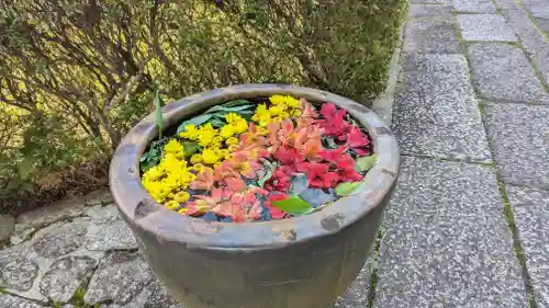 金光院(京都府)