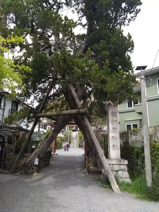 荏柄天神社(神奈川県)
