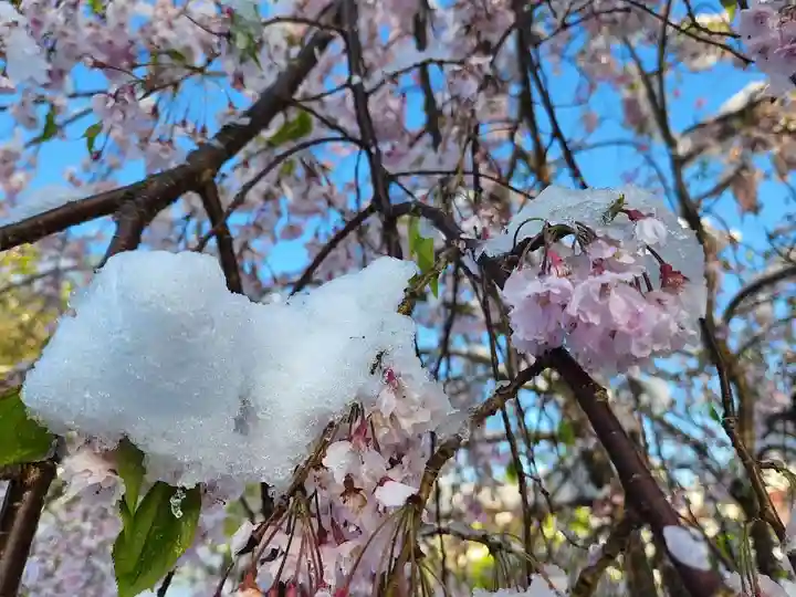 長徳寺(岩手県)