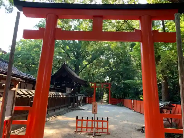 河合神社(鴨川合坐小社宅神社)の鳥居