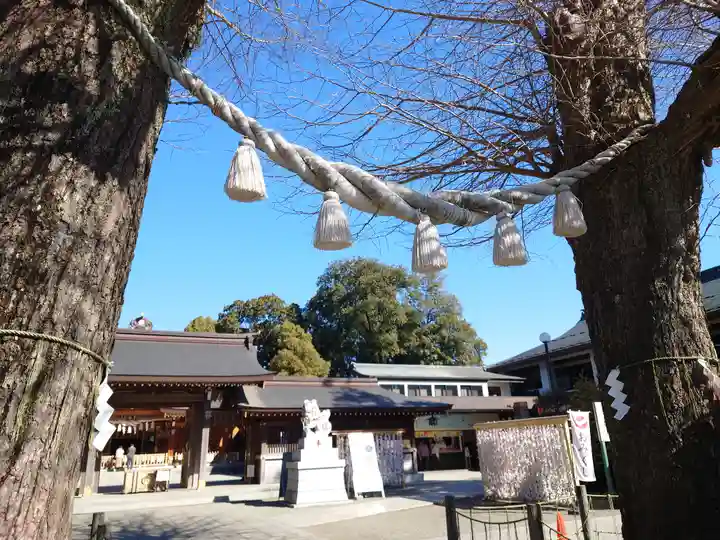 亀ケ池八幡宮(神奈川県)