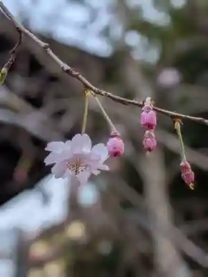 熊野神社(東京都)