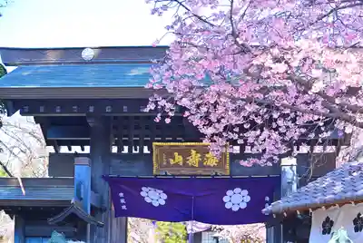 密藏院(埼玉県)