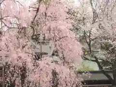 大國魂神社の自然