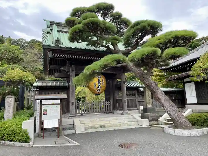 長谷寺の山門・神門