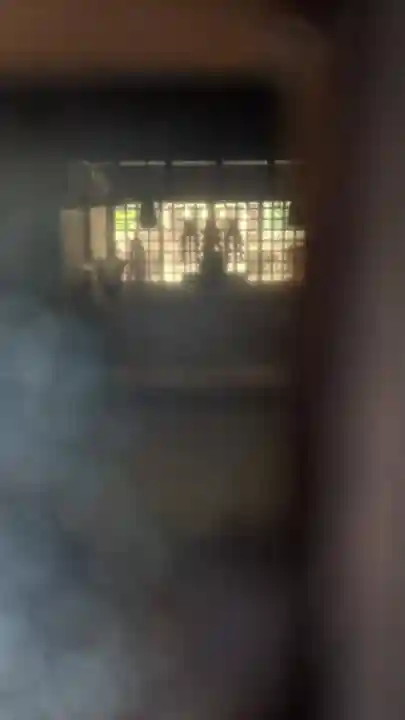 熊野神社(板山熊野神社)の本殿・本堂