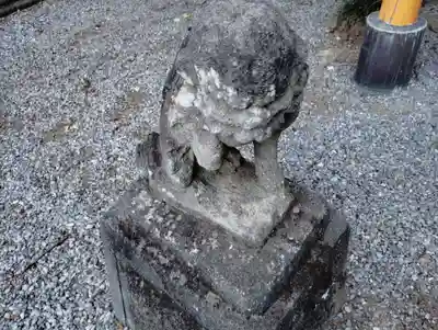 織姫神社の狛犬