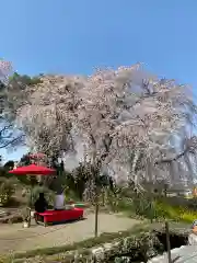 本佛寺別院　法華原の自然