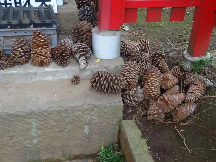 公所浅間神社の自然