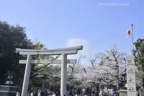 三嶋大社(静岡県)