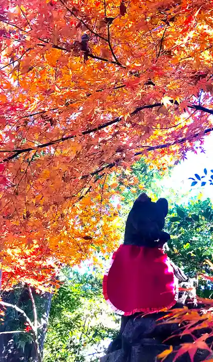 馬橋稲荷神社の狛犬