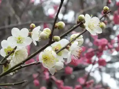 石山寺(滋賀県)