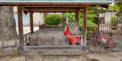 高浜神社(大阪府)