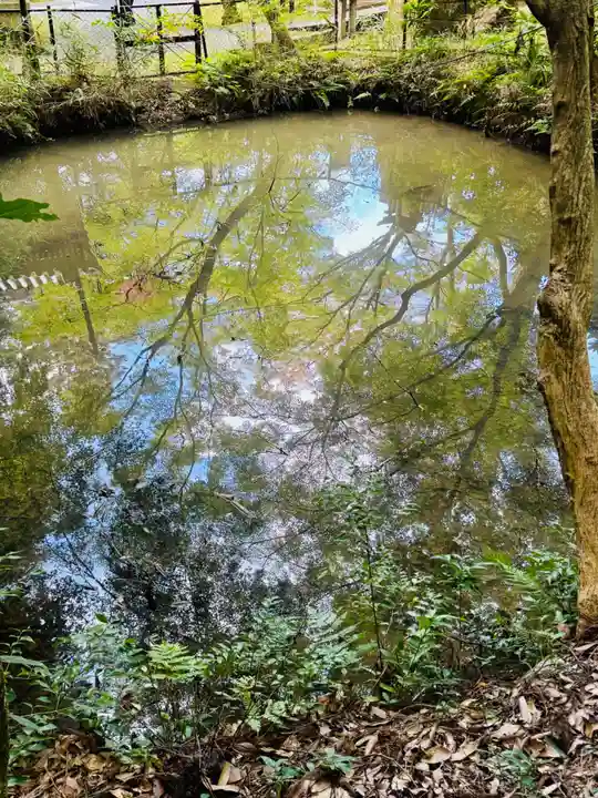 今熊野観音寺(京都府)