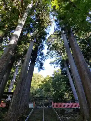 鳳来山東照宮(愛知県)
