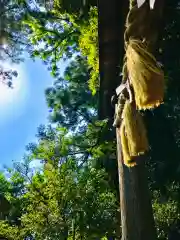 成田熊野神社の建物その他