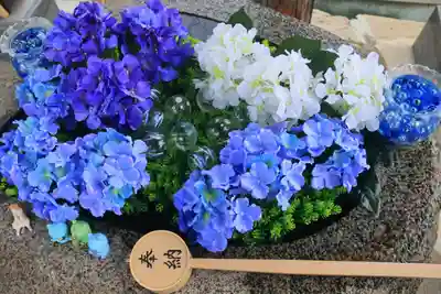 阿邪訶根神社の手水舎