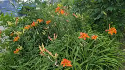 留寿都神社の自然