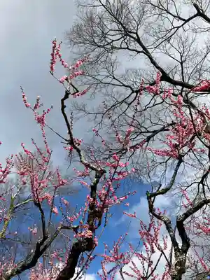 北野天満宮(京都府)