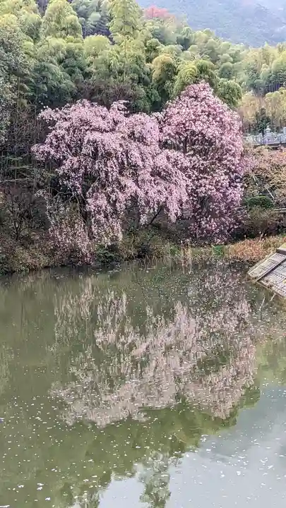正法寺(京都府)