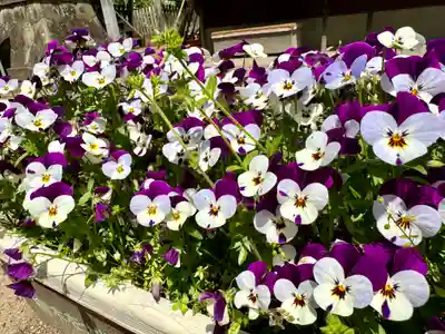 神炊館神社 ⁂奥州須賀川総鎮守⁂(福島県)