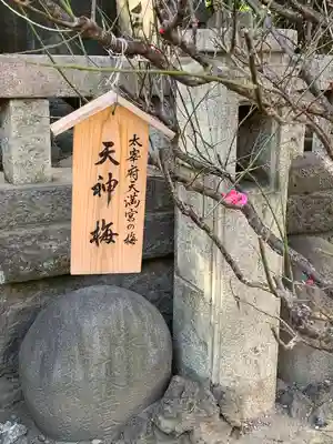 小野照崎神社(東京都)