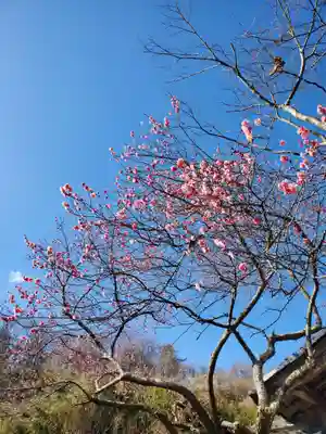 陽林寺(福島県)