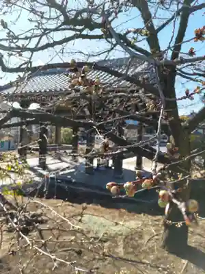 金剛寺の山門・神門