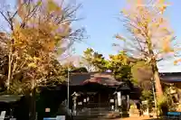 玉川神社の本殿・本堂