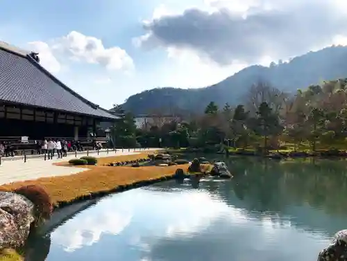 天龍寺の庭園