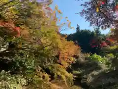 普門寺(切り絵御朱印発祥の寺)の自然