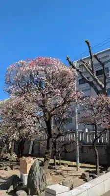 北野神社(東京都)