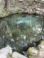 泉神社の{uncategorized: "未分類", other: "その他", undefined: "問題あり", building: "その他建物", grave: "お墓", sacred_gate: "鳥居", guardian: "狛犬", statue: "像", buddha: "仏像", history: "歴史", nature: "自然", garden: "庭園", animal: "動物", pagoda: "塔", temizu: "手水舎", mountain_gate: "山門・神門", sanctuary: "本殿・本堂", subordinate: "末社・摂社", art: "芸術", scenery: "景色", jizo: "地蔵", ema: "絵馬", goshuin: "御朱印", omikuji: "おみくじ", items: "授与品その他", amulet: "お守り", goshuincho: "御朱印帳", eats: "食事", festival: "お祭り", votive_dance: "神楽", shichigosan: "七五三参", wedding: "結婚式", experience: "体験その他", initially: "初詣", around: "周辺", anti_infection: "感染症対策"}