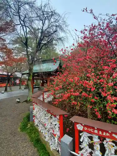 冠稲荷神社(群馬県)