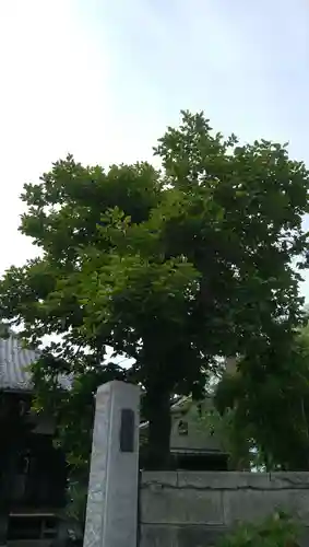 光明寺のその他建物