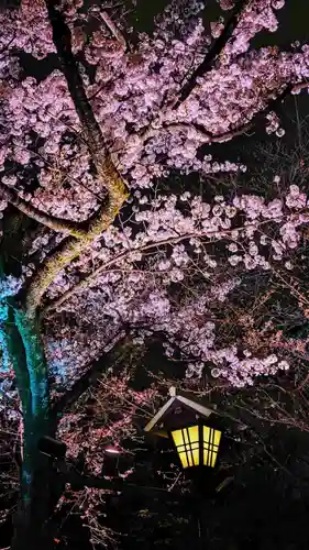 靖國神社の自然