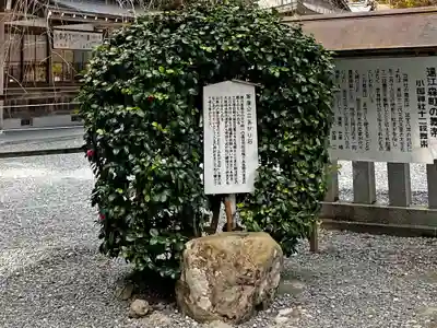 小國神社(静岡県)
