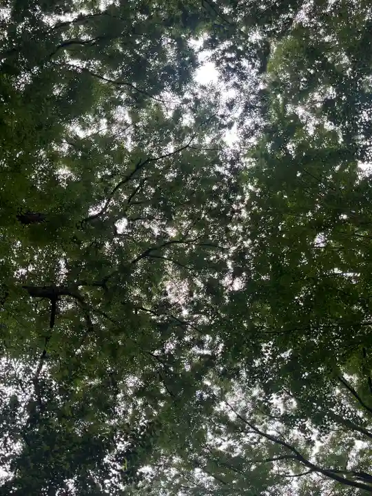 諏訪神社(東京都)