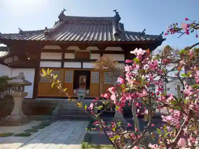 福寿院の本殿・本堂